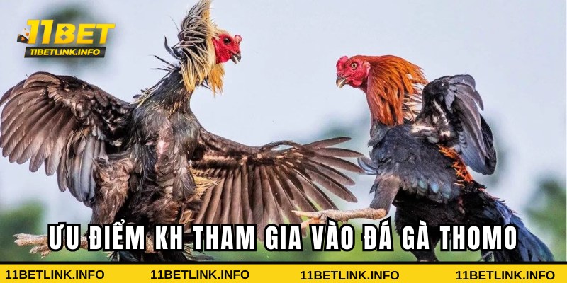 Ưu điểm khi tham gia tại 11bet